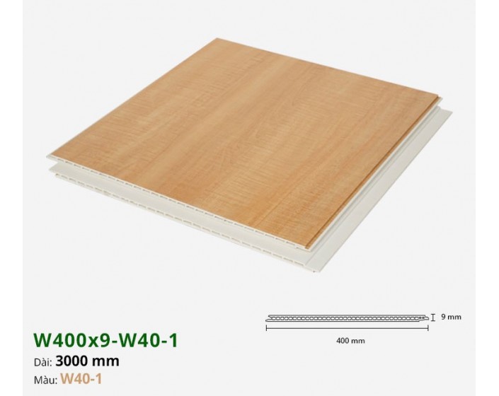 Tấm ốp nano phẳng W400x9-W40-1